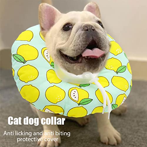 Qpets® Cat Cone Collar Adjustable Soft Elizabethan for Cats Small Dogs Comfy PP Cotton Protective E-Collar After Surgery Anti-Licking Design Detachable Machine Washable Cover S 12-22cm 3PCS Qpets® Cat Cone Collar Adjustable Soft Elizabethan for Cats Small Dogs Comfy PP Cotton Protective E-Collar After Surgery Anti-Licking Design Detachable Machine Washable Cover S 12-22cm 3PCS